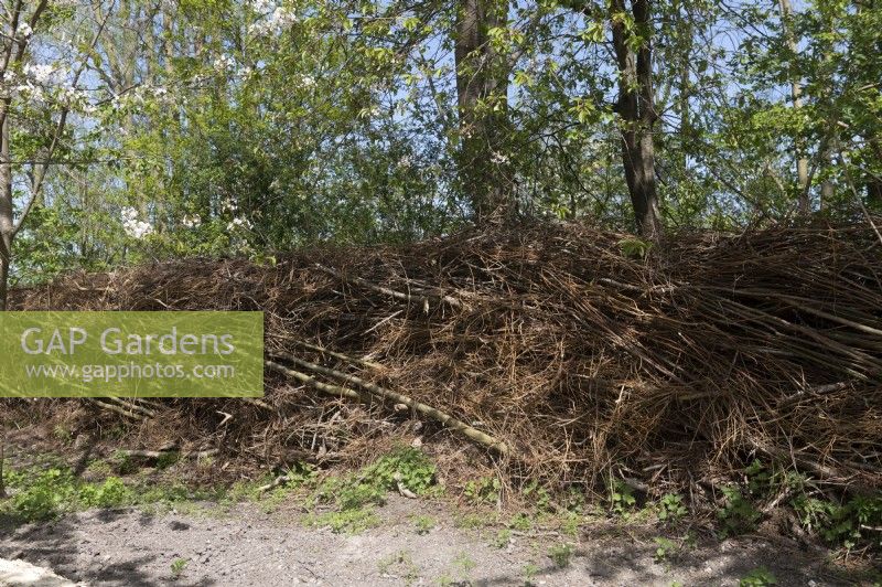 Almere The Netherlands 19th April 2022
Floriade Expo 2022. A ten-yearly botanical garden festival and exhibition, this year taking place in Almere, Flevoland. 
Wall made up of willow branches and other waste materials