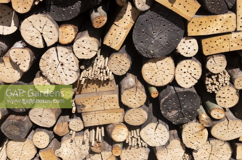 Almere The Netherlands 19th April 2022
Floriade Expo 2022. A ten-yearly botanical garden festival and exhibition, this year taking place in Almere, Flevoland. 
Wall made up of logs, bamboo with holes drilled in them to encourage insects. 