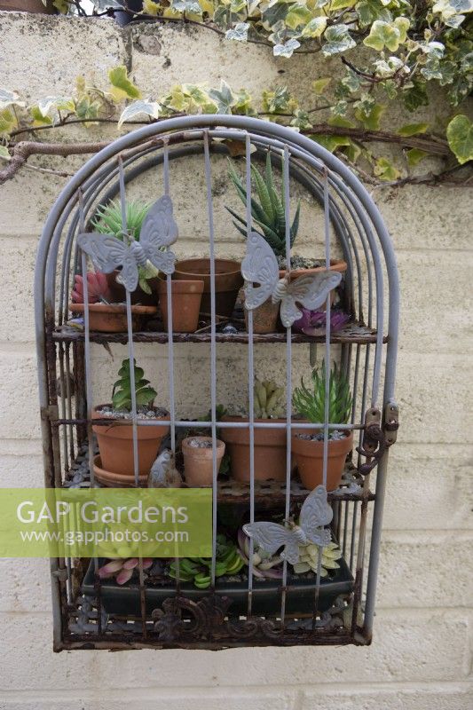 A decorative set of metal shelves, with butterflies, is wall mounted outside in a garden and filled with fake succulent plants on the shelves. No maintenance and fun focal point for year round interest. 
