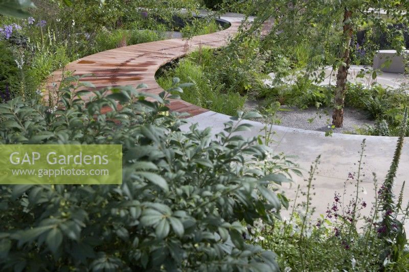 The Cancer Research UK Legacy Garden. Path winding through soft natural planting scheme. Designer: Tom Simpson. RHS Hampton Court Palace Festival 2021