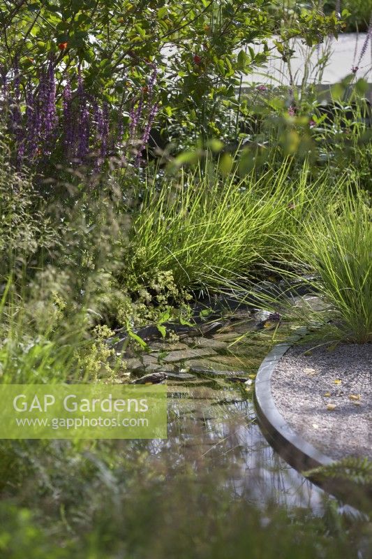 The Cancer Research UK Legacy Garden. Designer: Tom Simpson. Shallow stream running through natural and modern borders, one of gravel and the other with soft planting using Carex mushingumensis.  RHS Hampton Court Palace Festival 2021
