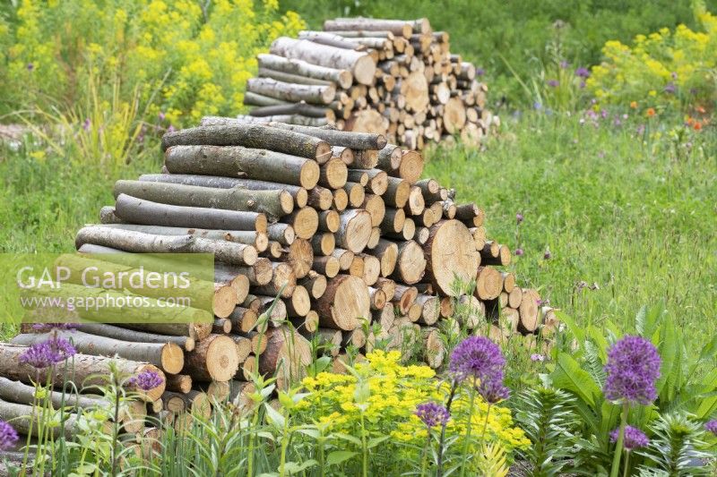 Log piles in the wildlife garden at RHS Wisley