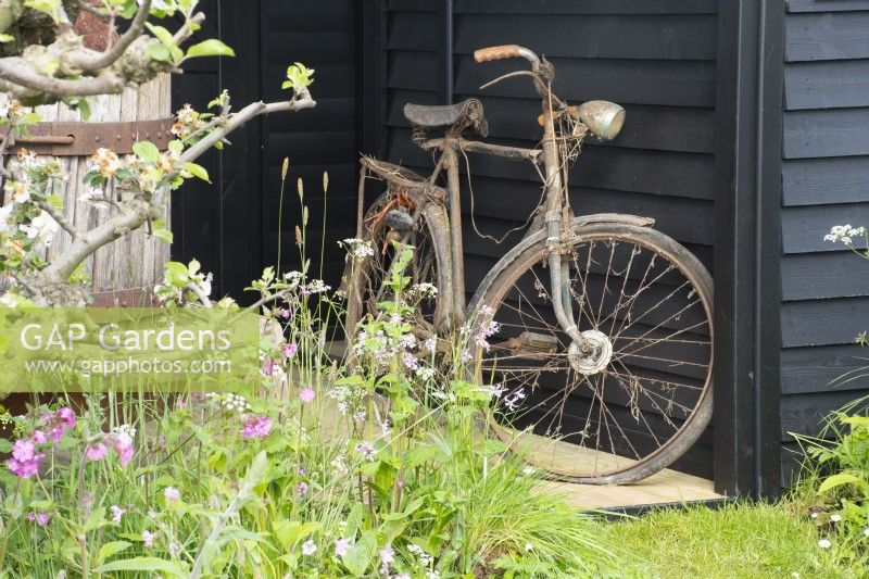Rusty bike in 'The Longcroft Press' Show Garden at RHS Malvern Spring Festival 2022 - Designer Laura Ashton-Philips - Bronze Medal winner