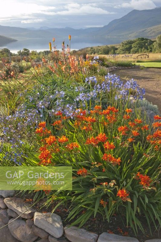 Raised bed border with southern hemisphere plants including Crocosmia, Agapanthus, Watsonia and Kniphofia with view towards Little Loch Broom.

2 Durnamuck, Little Loch Broom, Ross-shire, Scotland