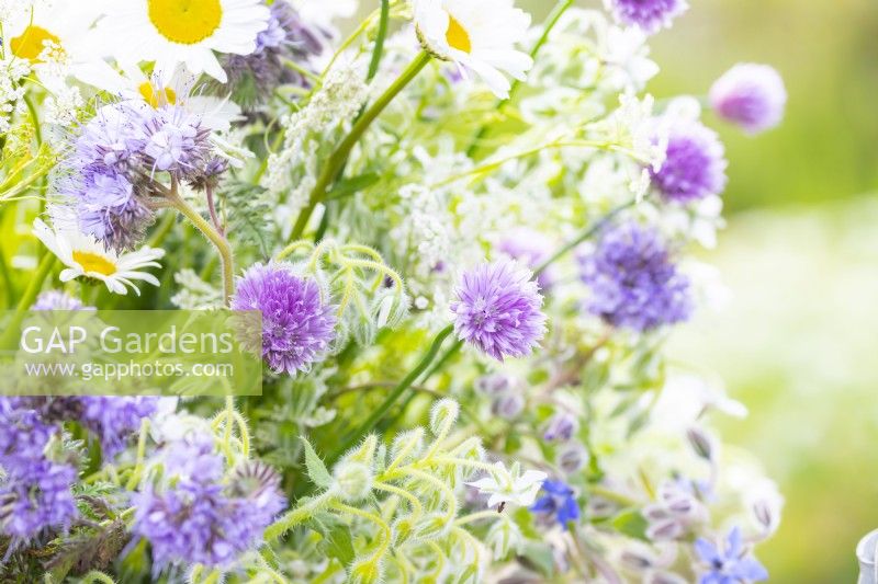 Chives in wildflower bouquet