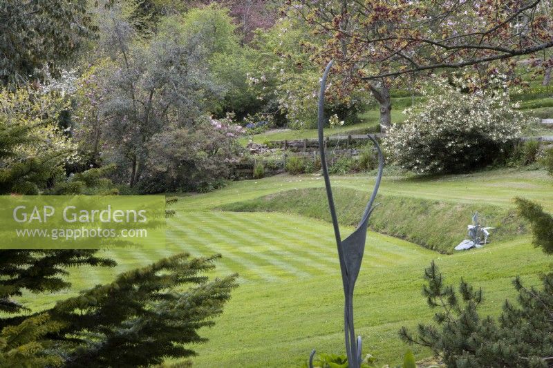 A metal sculpture by Matt Coe of Dingle Designs looks over a croquet lawn with various trees and shrubs in background.Whitstone Farm, NGS Devon garden. Spring. 