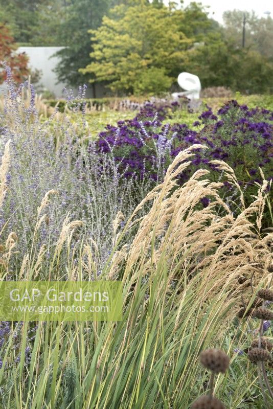 Autumnal grasses and flowering perennials with sculpture in the Hepworth Garden Wakefield