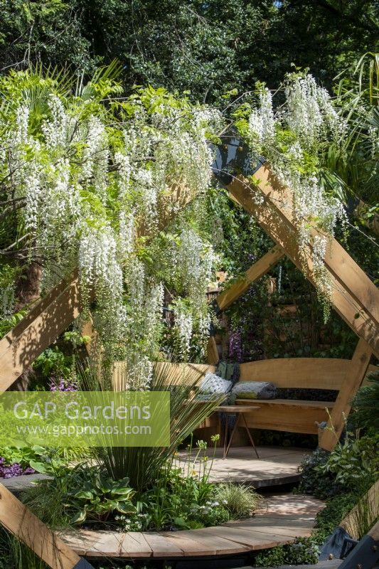 Fragrant flowers of  Wisteria floribunda 'Alba' overhangs a wooden frame leading to a sheltered seating area - Kingston Maurward, The Space Within Garden, RHS Chelsea Flower Show 2022 - Silver Gilt Medal