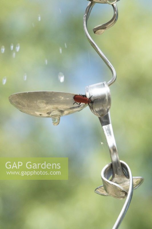 Insect on rain watering system made of old spoons.