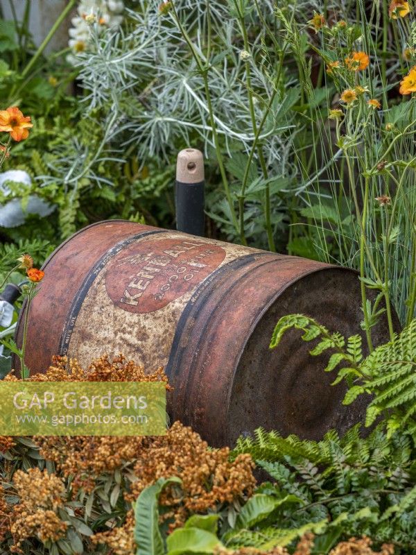 ReThink garden featuring reused items such as cans with vibrant greens and oranges in the planting