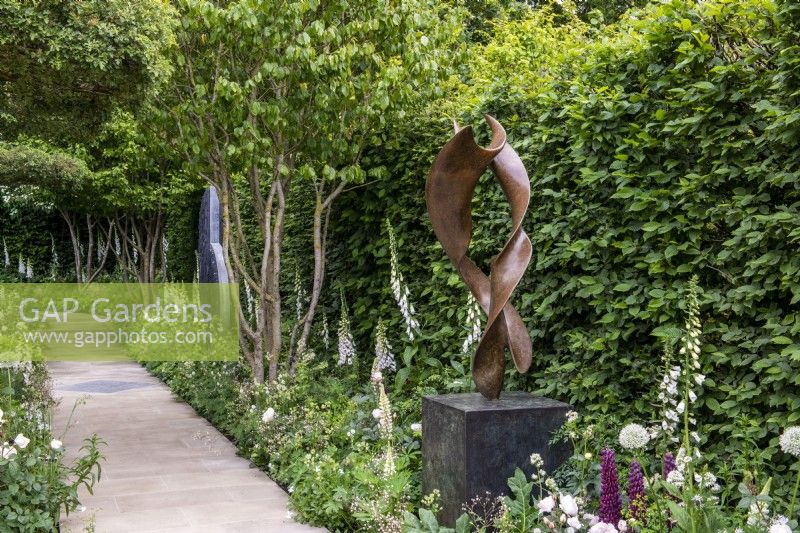 'Dancers' by Jack Eagan set in a border with multistem Parrotia persica, Digitalis purpurea f. albiflora, Saxifraga and Lupins, Carpinus betulis hedge behind - The Perennial Garden 'With Love', RHS Chelsea Flower Show 2022 - Silver Medal