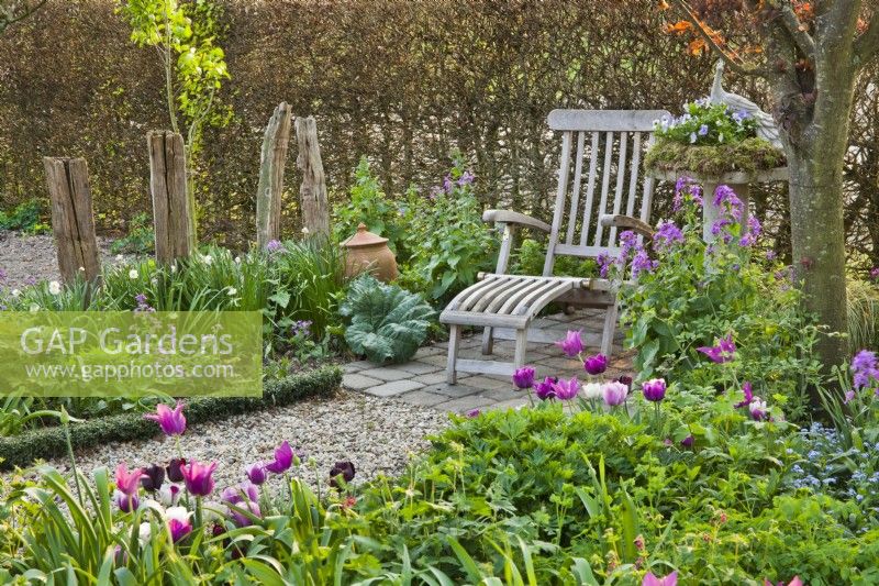 Spring garden with wooden lounger and  mixed bed with tulips Tulipa 'Purple Dream', Tulipa 'Shirley', Tulipa 'Synaeda Amor' and Tulipa 'Negrita'.