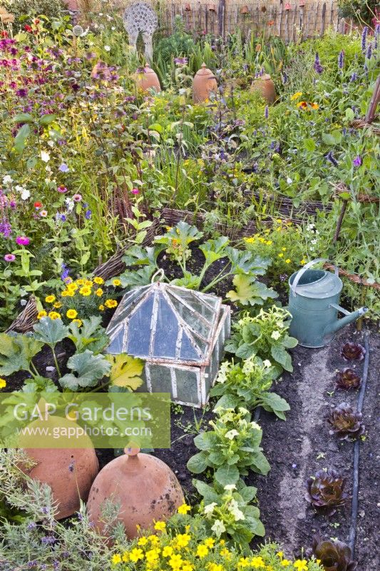 Kitchen garden with forcers, Victorian cloche, watering can, drip hose irrigation vegetables and flowers.