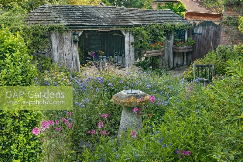 View across a mixed border to a wooden potting shed in an informal country cottage garden in Summer - June