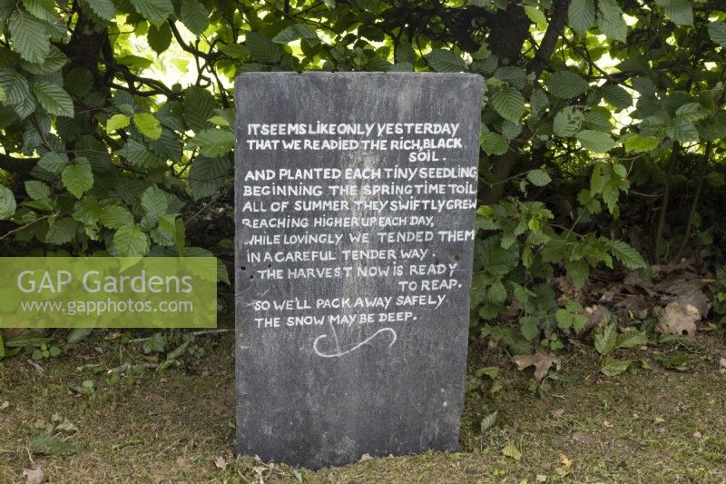 A recycled slate has a gardening quote written on it and displayed beside a beech hedge. Lewis Cottage, NGS Devon garden. Spring 