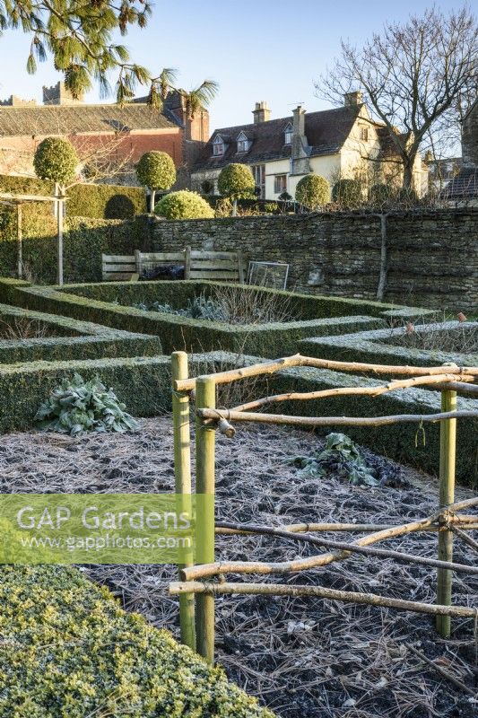 Beds framed by box hedges dusted with frost in a formal vegetable garden in winter