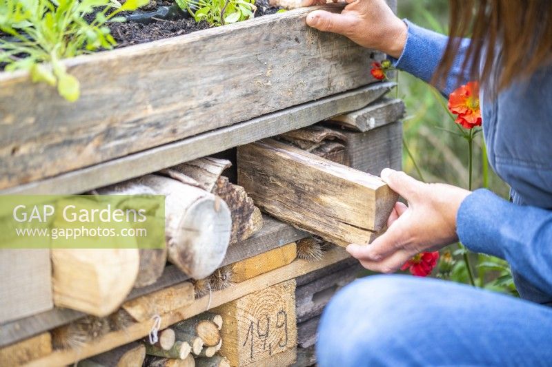 Woman placing logs in the gaps of the bug hotel