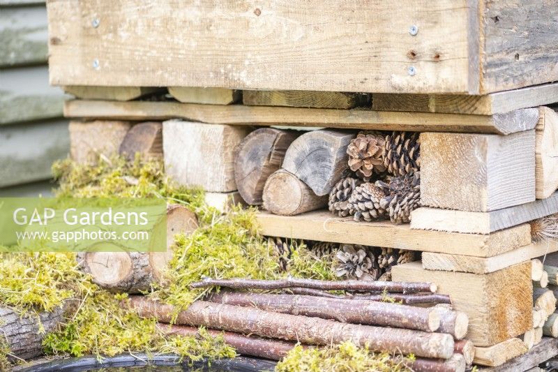 Logs, sticks, pinecones and moss in bug hotel