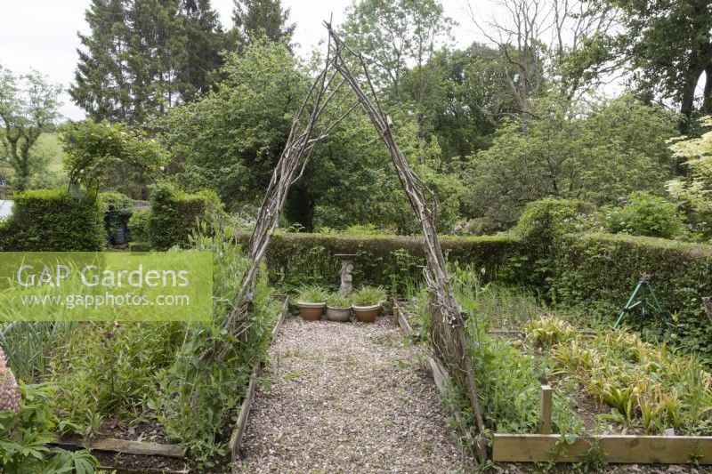 A rustic homemade arch supporting sweet peas over a gravel path beside raised beds. Lewis Cottage, NGS Devon garden. Spring.