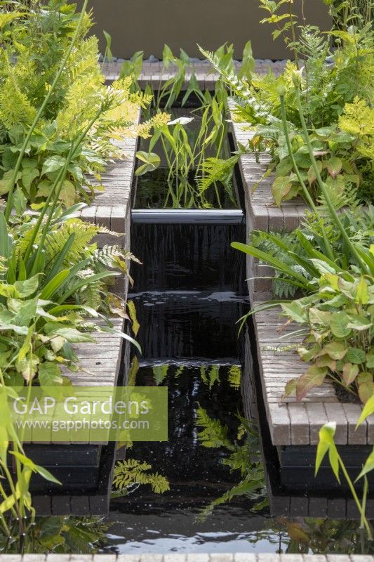 Water feature Rill in Gift the Future garden at RHS Hampton court flower show 2022 - Designed by Sean A Pritchard