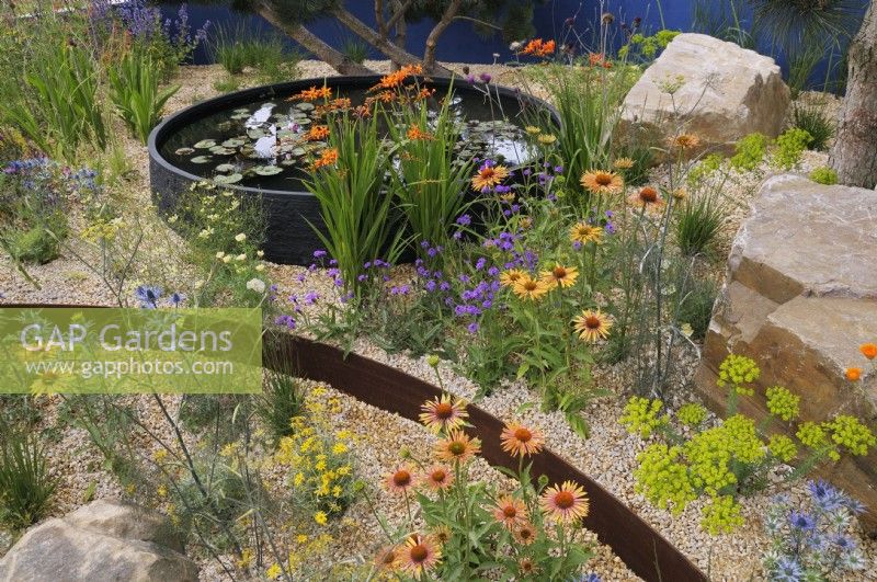 Vibrant drought-tolerant planting with perennials and annuals in gravel garden punctuated with rocks and a circular pond - Echinacea 'Big Kahuna', Verbena rigida, Crocosmia 'Firestarter', Coreopsis verticillata 'Moonbeam', Eryngium x zabelii 'Big blue' - Over The Wall Garden, supported by Takeda.  RHS Hampton Court Palace Garden Festival 2022.  Designer:  Matthew Childs