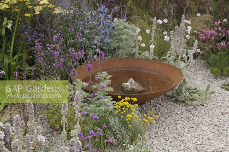 Water bowl feature with submerged rock surrounded by drought-tolerant herbaceous planting - Turfed Out Garden, RHS Hampton Court Palace Garden Festival 2022.  July.  Designer: Hamzah-Adam Desai  