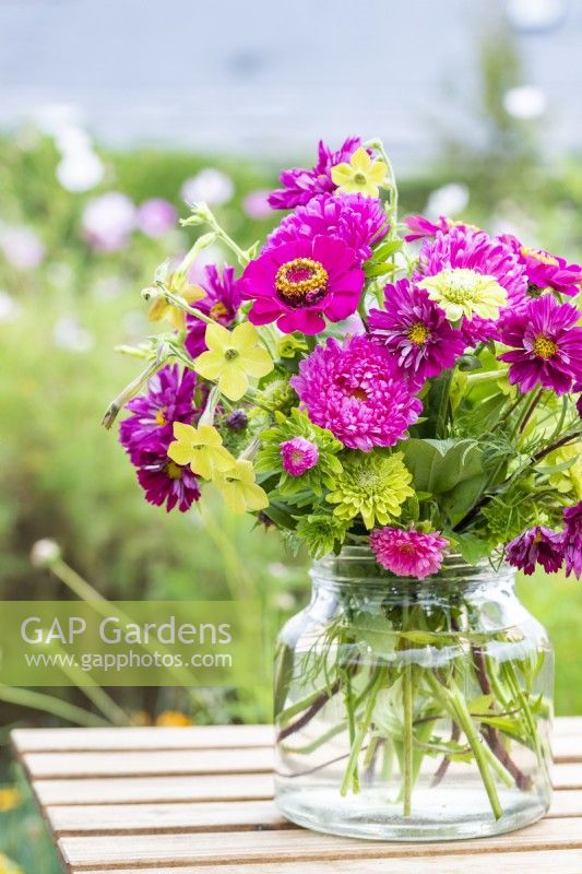 Bouquet containing Zinnia elegans 'Purple Prince' and 'Envy', Callistephus 'Coral Rose', Cosmos 'Double Click Cranberries' and Nicotiana 'Lime Green'