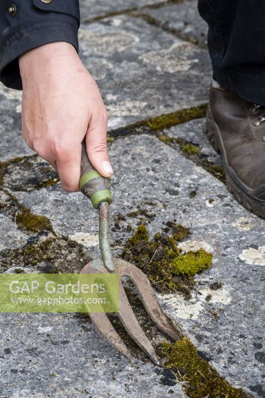 Person using a hand fork to remove moss in paving