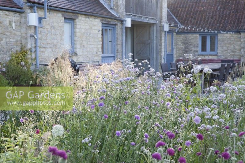 View of Hailstone Barn, Gloucestershire, through late May perennial planting.