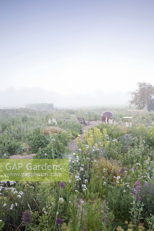 Misty morning view across late May Perennial planting. Hailstone Barn Gloucestershire.