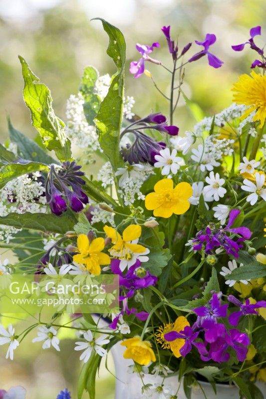 Flower bouquet containing greater stitchwort, honesty, lungwort and buttercup.