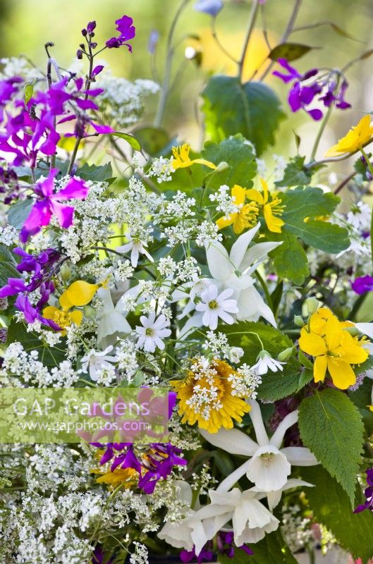 Flower bouquet containing daffodils  and wild flowers such as cow parsley, greater stitchwort and honesty.