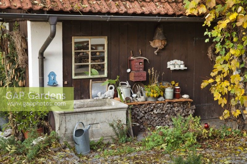 Old watering cans and dishes displayed on shelf in front the garden shed.
