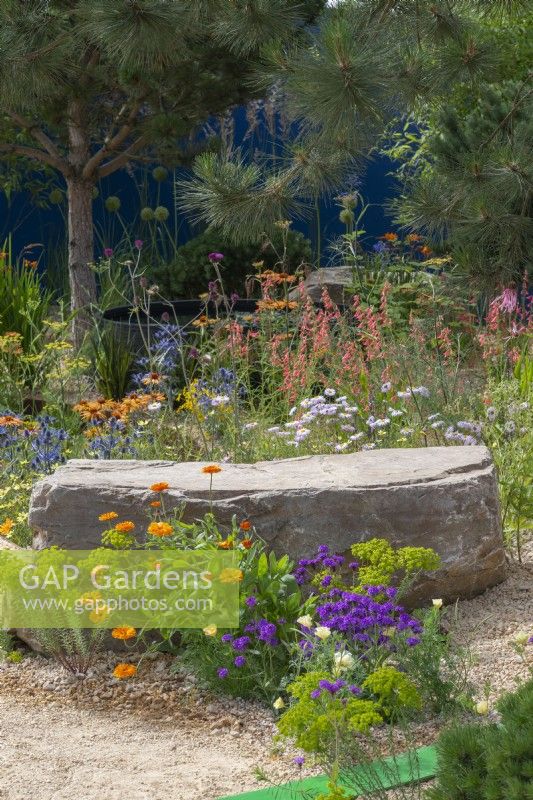 A large boulder, edged by euphorbia, marigolds and Verbena rigida, overlooks a raised circular pool of water, set into a gravel garden of colourful perennials such as kniphofia, salvias, sea holly and coreopsis. 