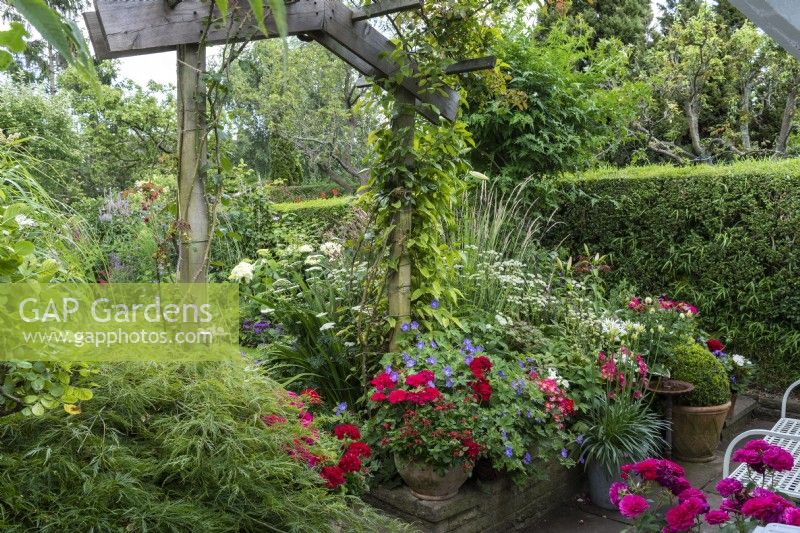 A wooden arch frames views of a border, at its feet hardy geranium, astrantia and pots of red geranium.