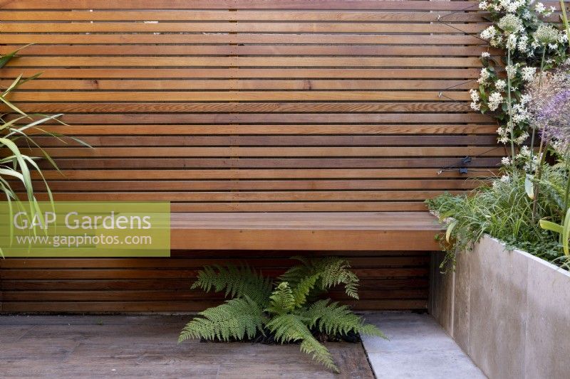 Floating seat against contemporary wooden fence with fern, Polystichum settiferum beneath 
