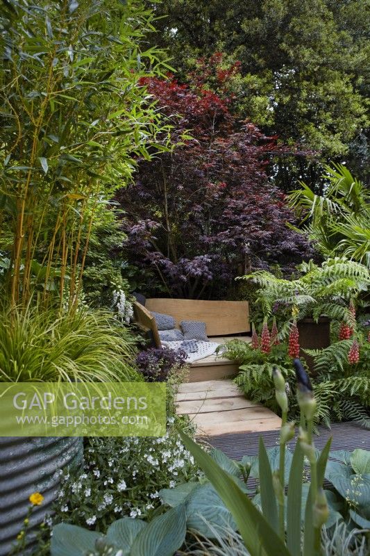 Kingston Maurward The Space Within Garden. Designer: Michelle Brown. Secluded wooden seating area amongst bamboos, acers, lupins, digitalis and ferns. RHS Chelsea Flower Show 2022. Silver-Gilt Medal. Summer. May.