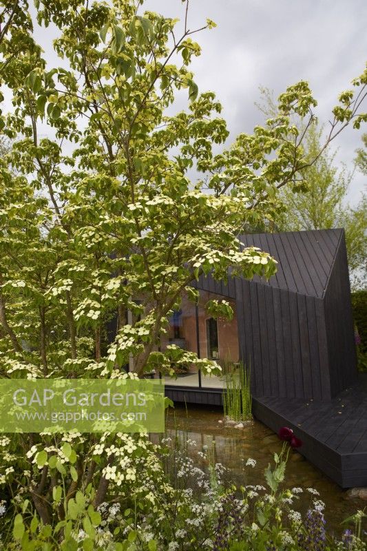 A Garden Sanctuary by Hamptons. A charred Larch cabin set amongst predominantly green and white enclosed planting. Designer: Tony Woods. RHS Chelsea Flower Show 2022. Gold Medal. Summer. May.