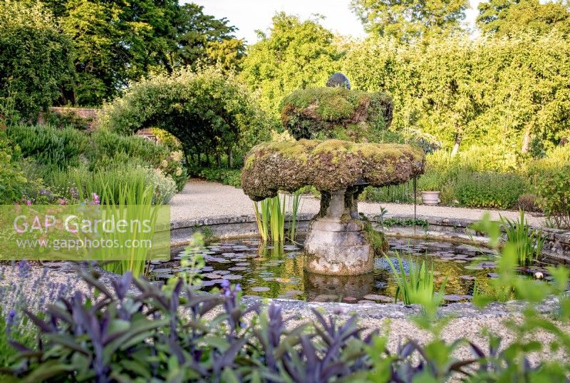The moss on the Italian fountain in the Kitchen Garden increases steadily over the years, June, 2022.