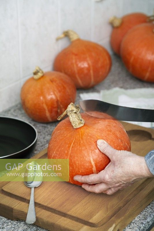 Preparing a pumpkin, autumn October