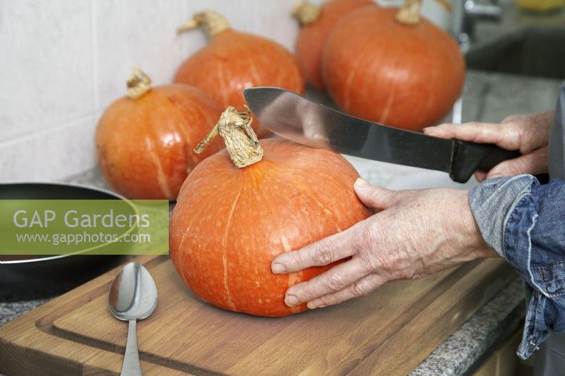 Preparing a pumpkin, autumn October
