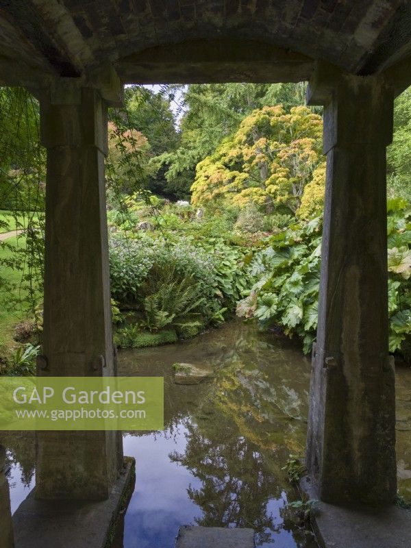 The pond in exotic oriental water garden - Sezincote, Moreton-in-Marsh, Gloucestershire