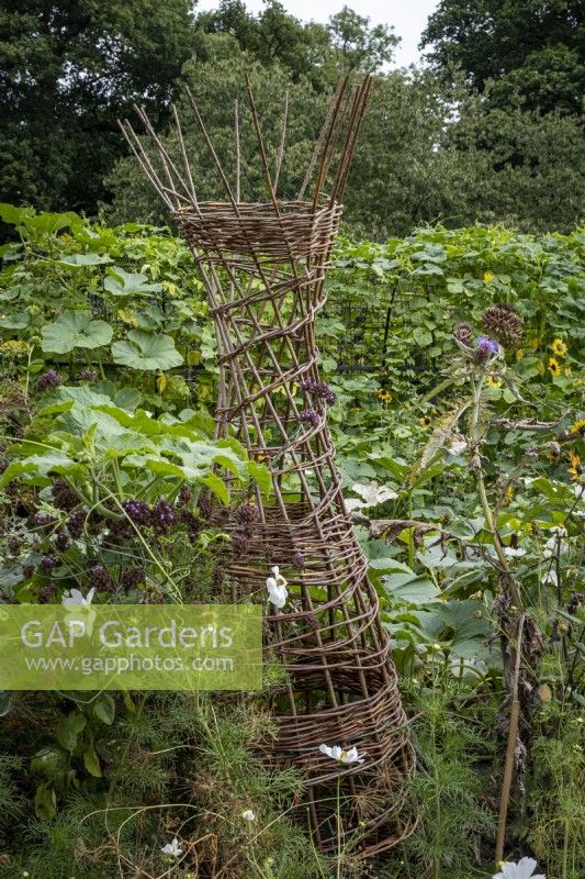 Woven willow plant supports in autumnal garden