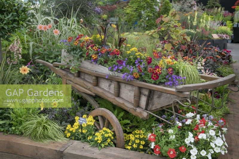 Old wooden carriage planted with summer bedding plants at BBC Gardener's World Live 2022