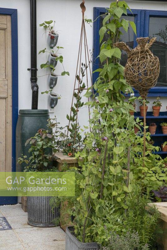 Vertical vegetable planting in the Small Space - Big Ideas show garden at BBC Gardener's World Live 2022