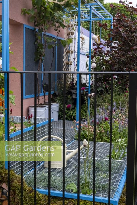 A balcony garden with a metal grid creating a platform to allow plants, Cirsium rivularis and Festuca amethystina to growing up through the squares, on the Jay Day balcony garden designer:  Flock Party Studio