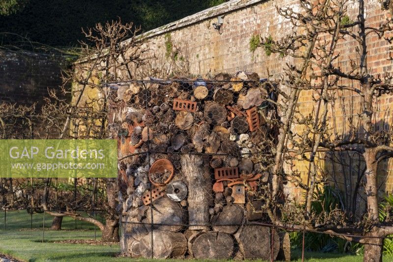A bug hotel in between trained fruit trees.  It is built with logs, old terra cotta pots, air bricks, straw and fur cones, which are surrounded by wire netting.