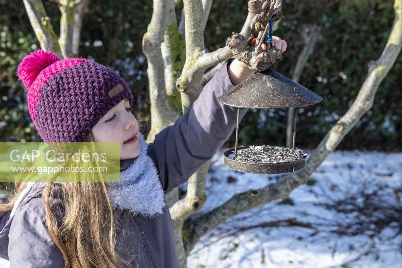 Girl hanging up metal bird feeder with sunflower seeds in a tree