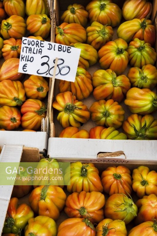 Beefsteak tomatoes, also known as oxheart tomatoes or bulls heart tomatoes, marked as 'cuore di bue' on a market stall in Italy.