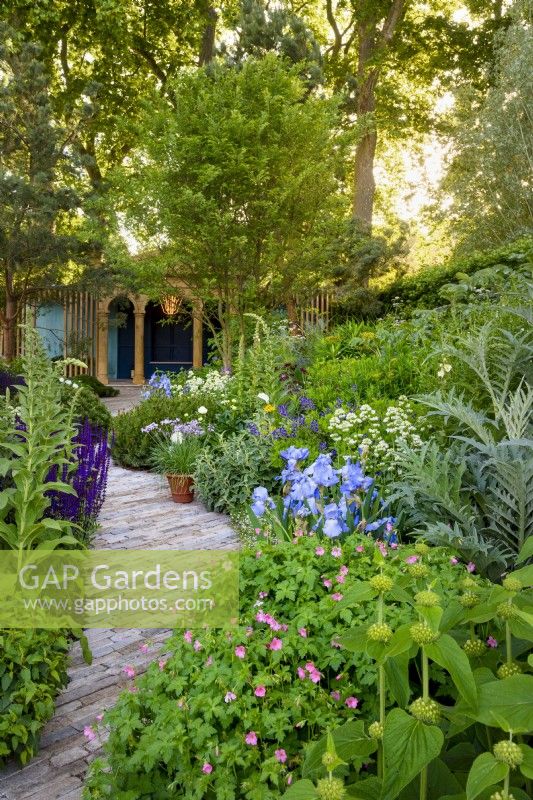The path between borders with Iris 'Jane Phillips',  Geranium endressii 'Wargrave Pink', Baptisia 'Blueberry Sundae', Centranthus ruber 'Albus' and Phlomis leading to the pavilion structure. The RNLI Garden, RHS Chelsea Flower Show 2022, Gold Medal. Designer Chris Beardshaw